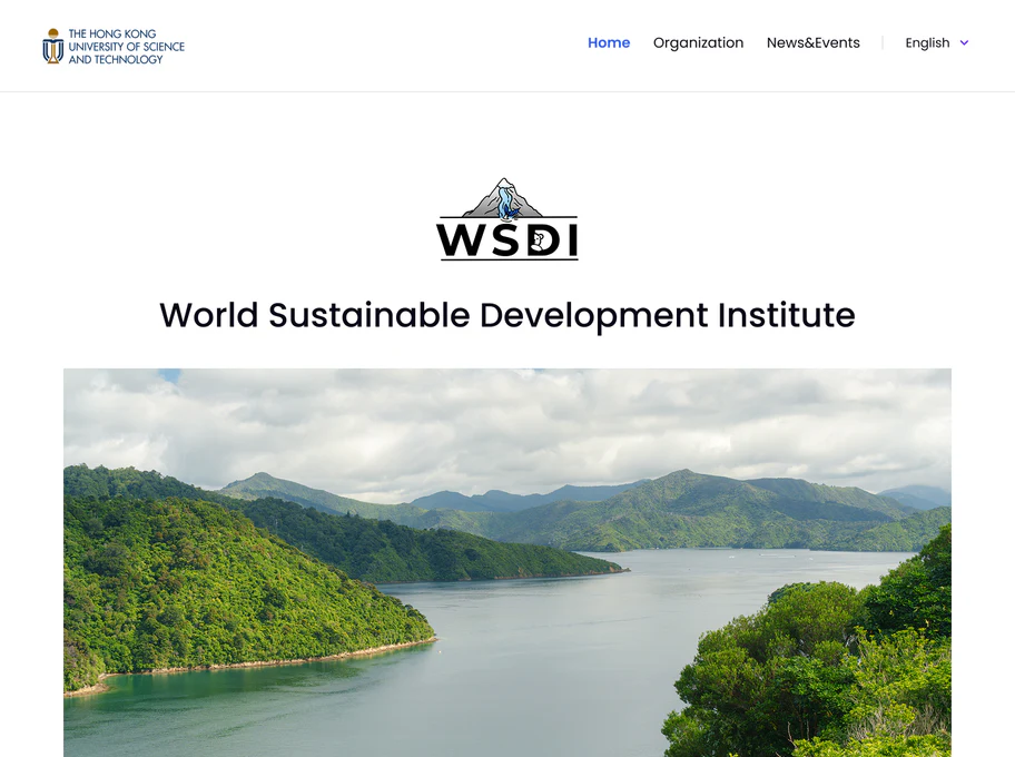 WSDI website preview
