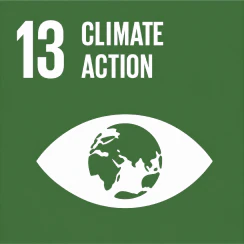 SDG 13