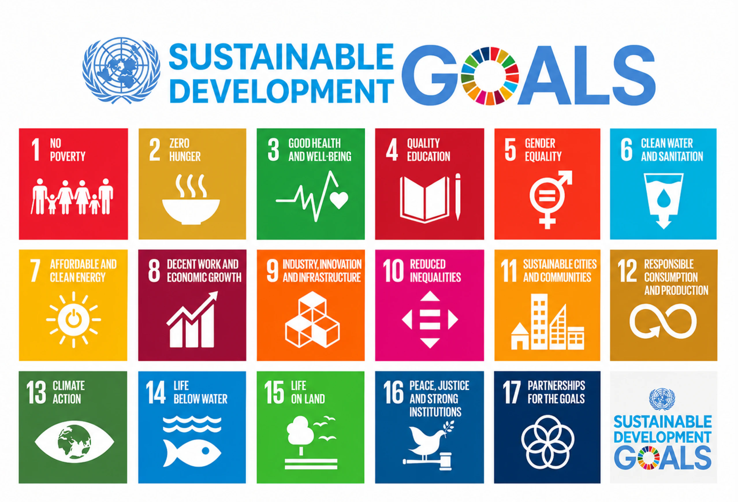 The 17 United Nations Sustainable Development Goals